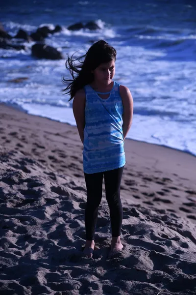 DSC_0653 (Large).JPG